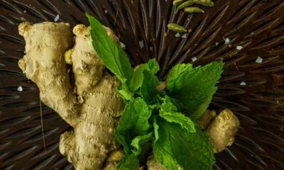 Black Ginger: The Powerful Herb with Amazing Benefits